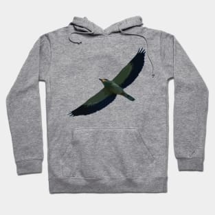 Minimalistic European Roller In Flight Silhouette Hoodie